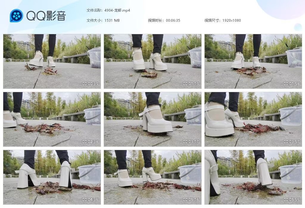 4904-龙虾20250