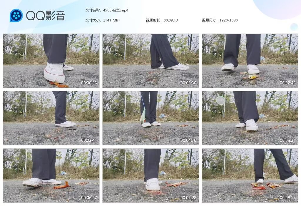4908-金鱼20250