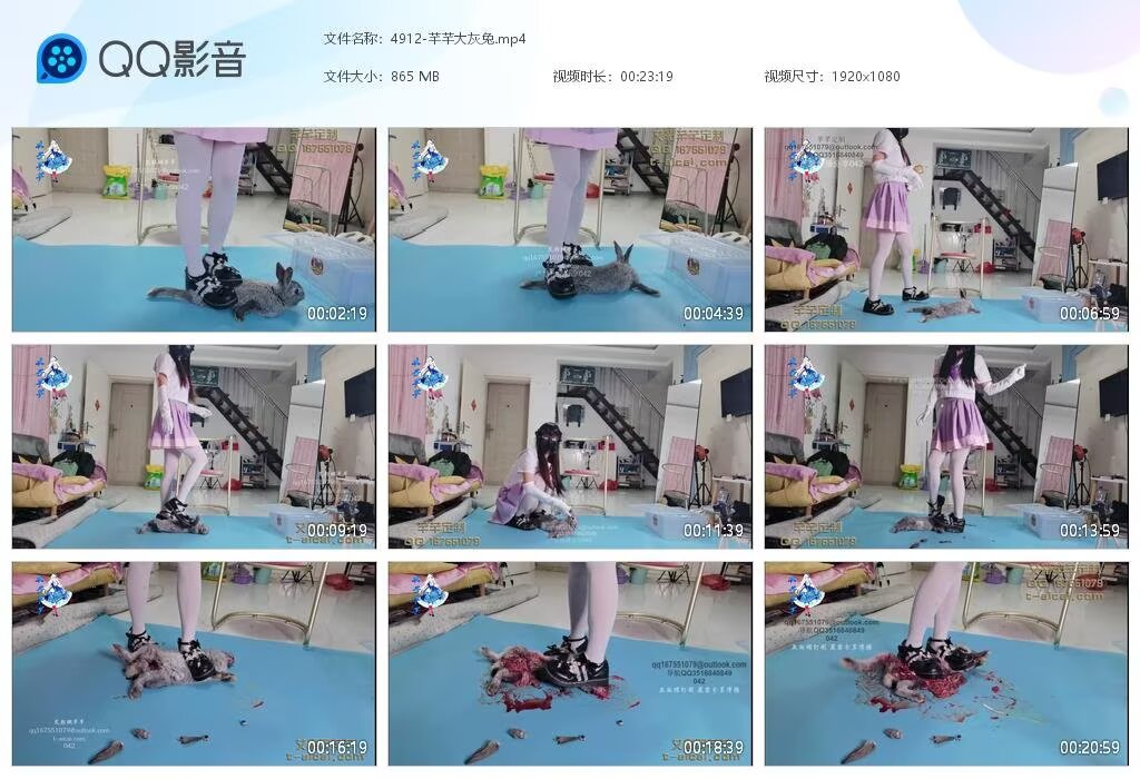 4912-芊芊大灰兔