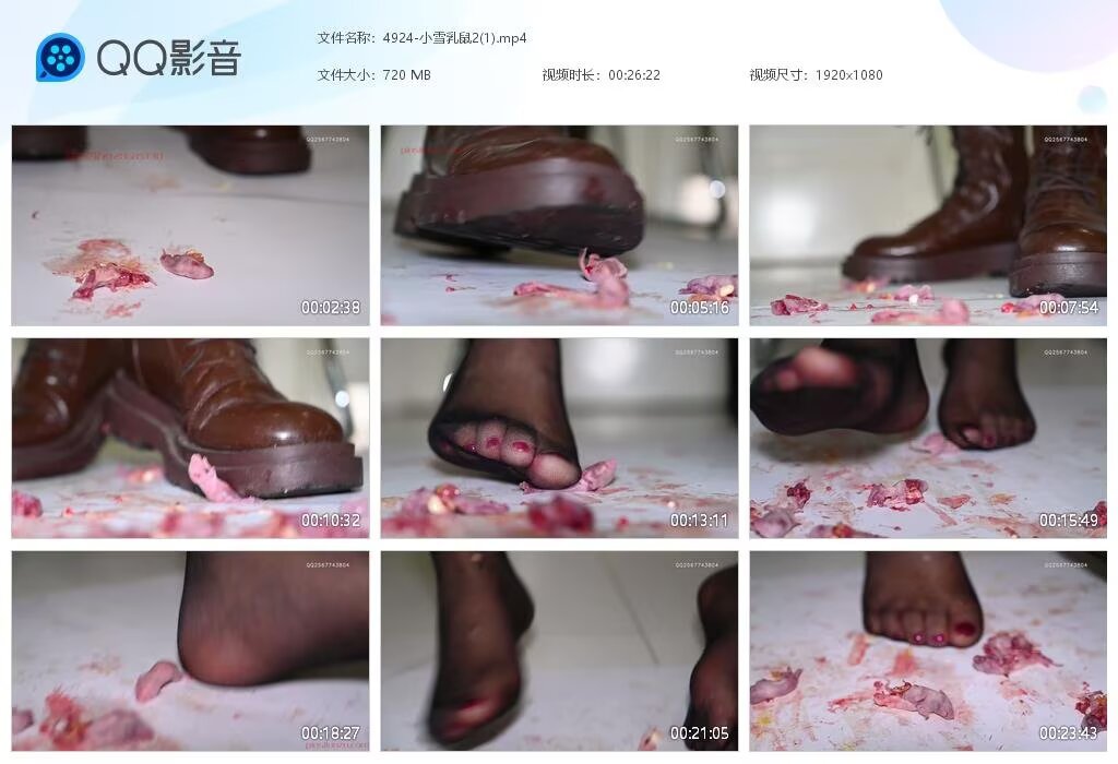 4924-小雪乳鼠2(