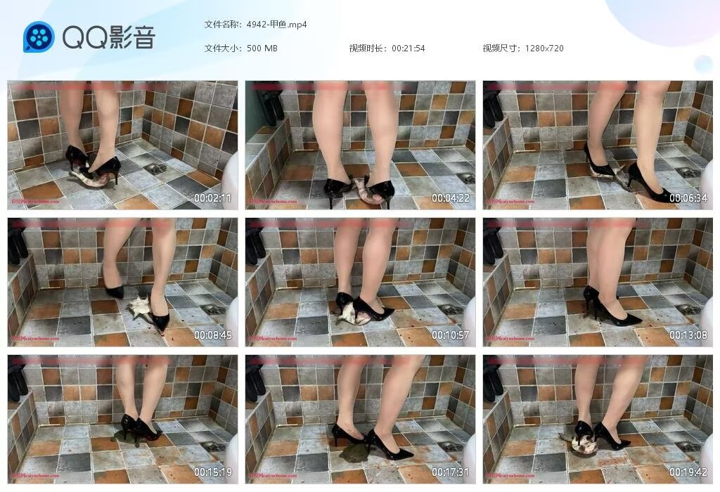 4942-甲鱼20250
