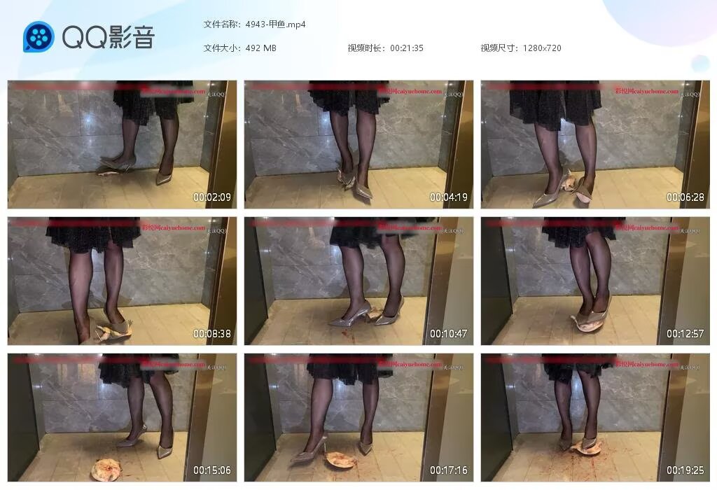 4943-甲鱼20250