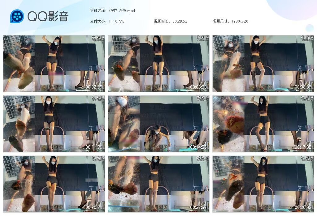4957-金鱼20250