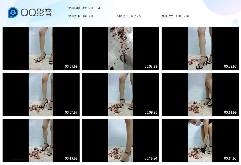 4963-鼠2025071