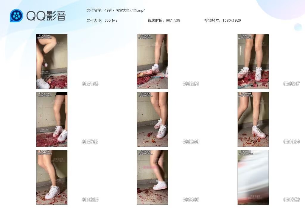 4994-萌棠大鱼小
