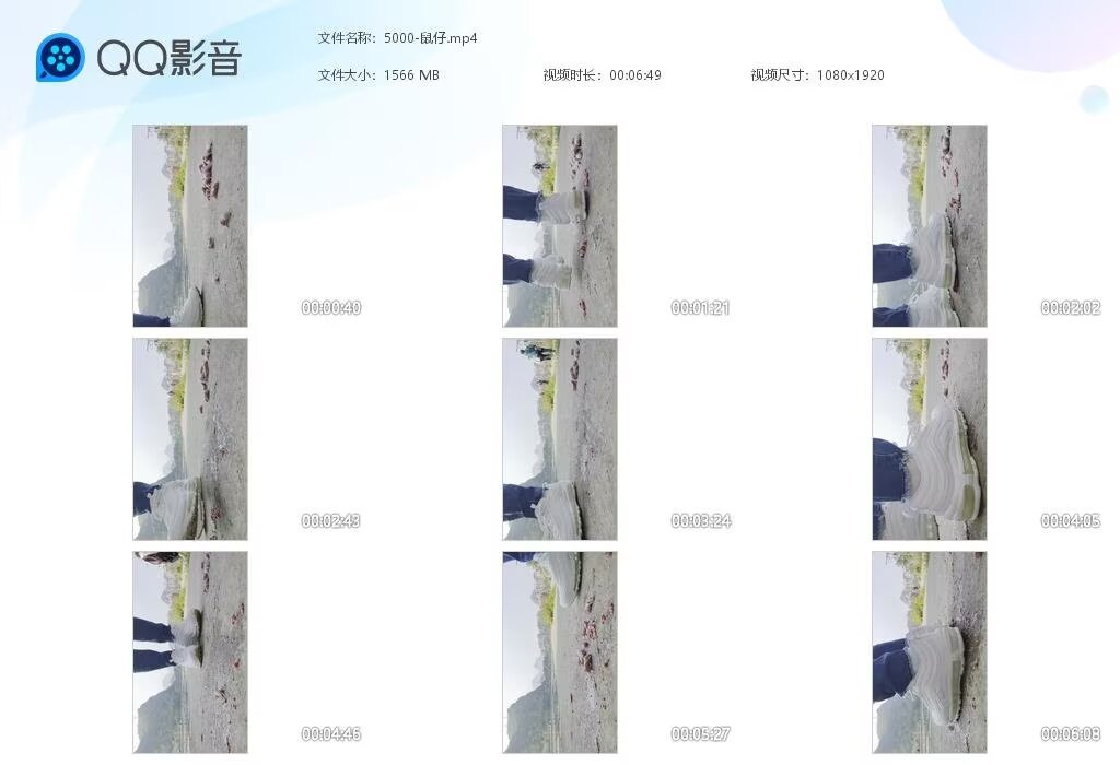 5000-鼠仔20250