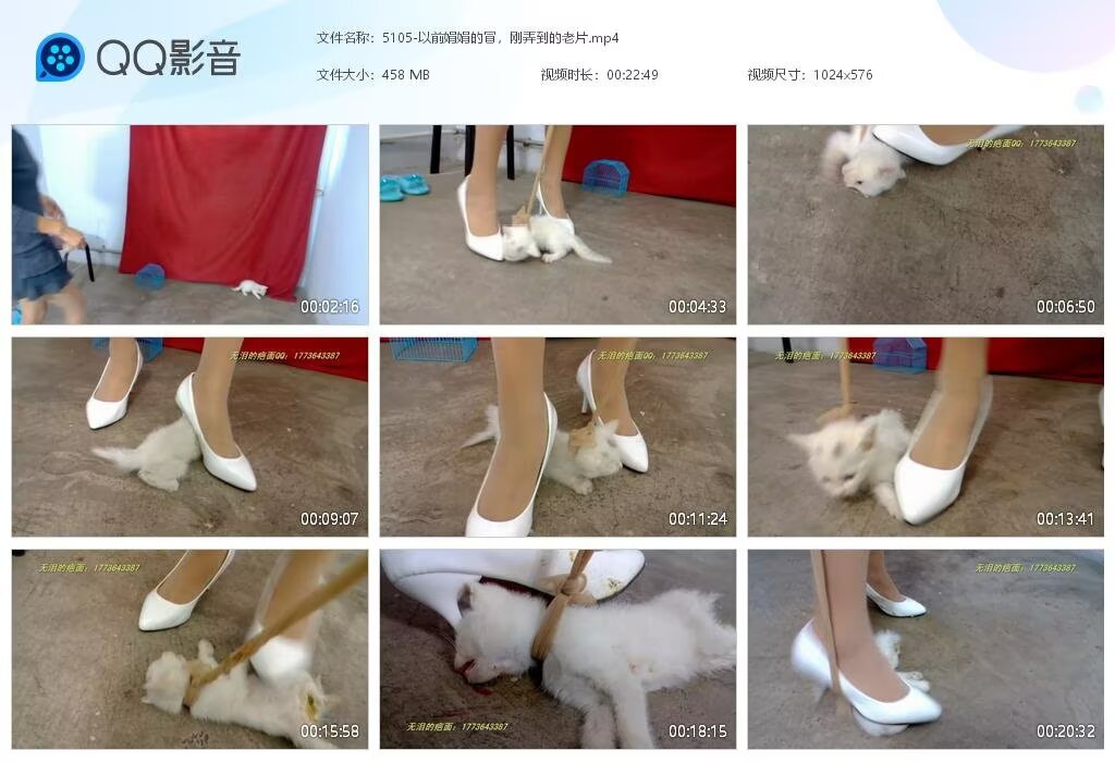 5105-以前娟娟的