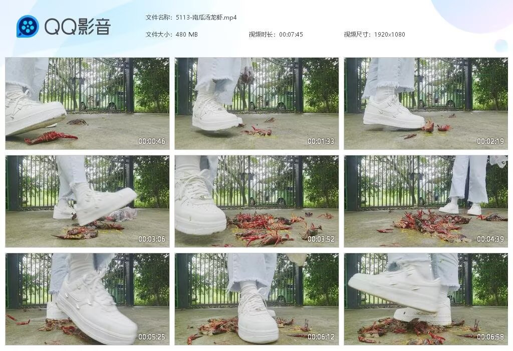 5113-南瓜汤龙虾