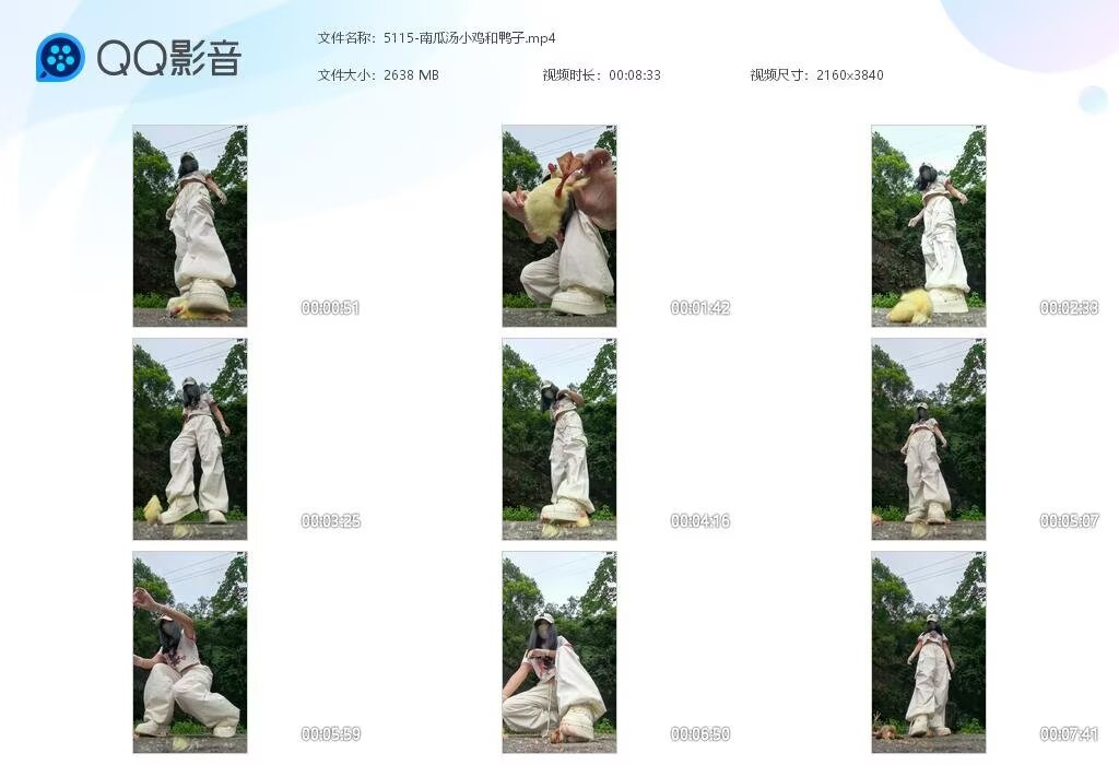 5115-南瓜汤小鸡