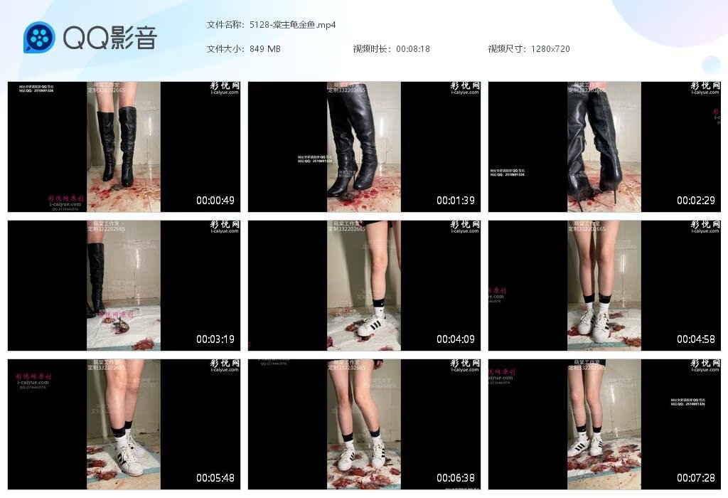 5128-棠主龟金鱼