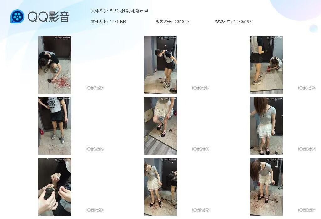 5150-小晴小雨龟