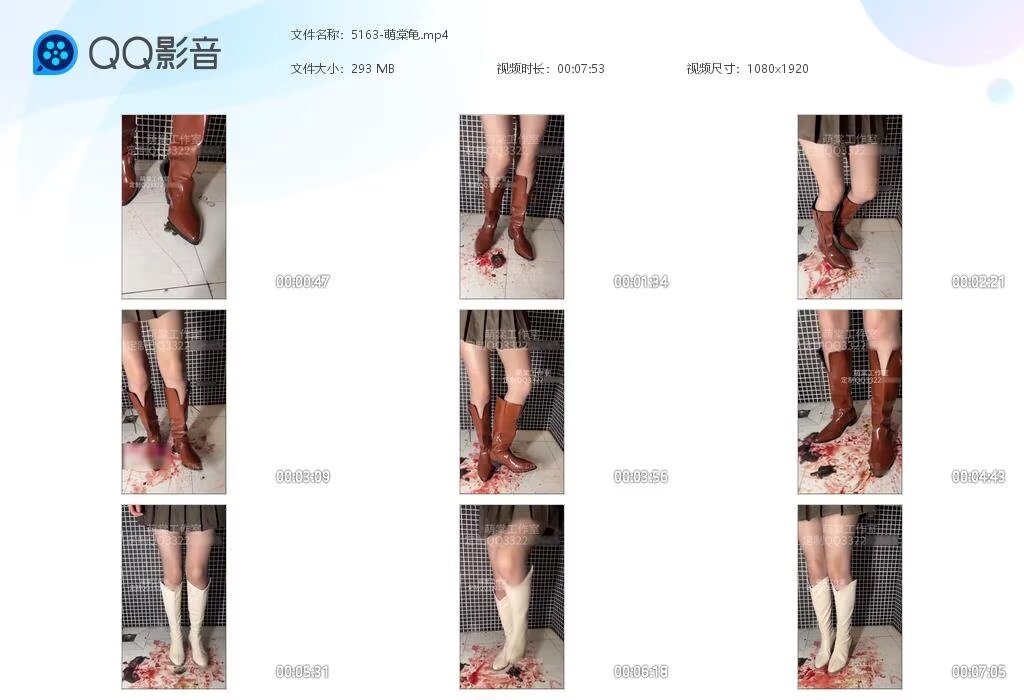 5163-萌棠龟202