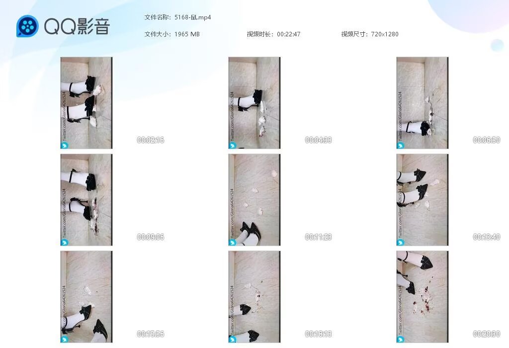 5168-鼠2025100