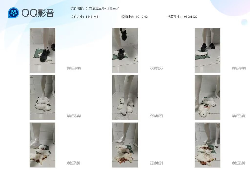 5172露脸三兔+语