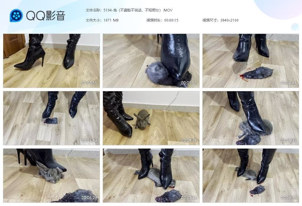5194-兔（不露脸