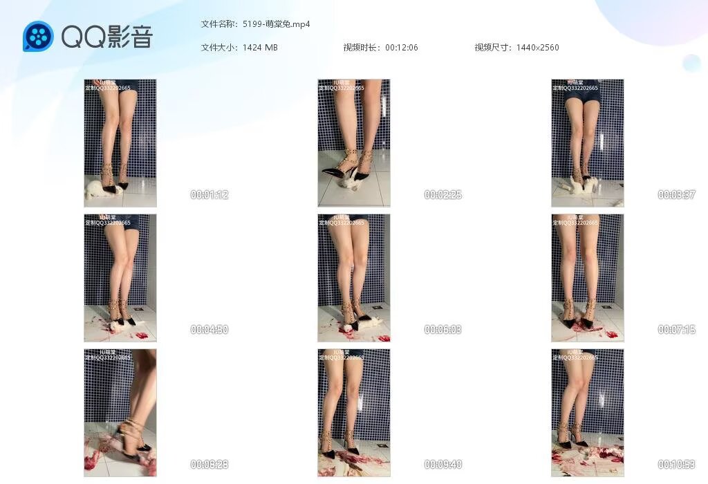 5199-萌棠兔202