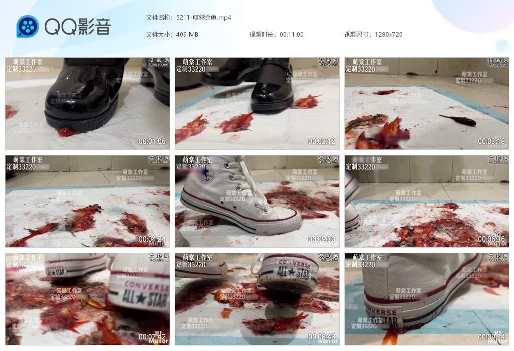 5211-萌棠金鱼2