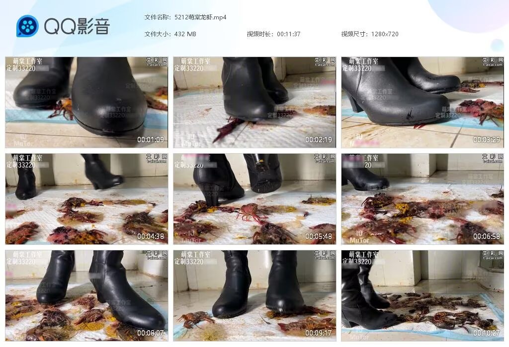 5212萌棠龙虾20