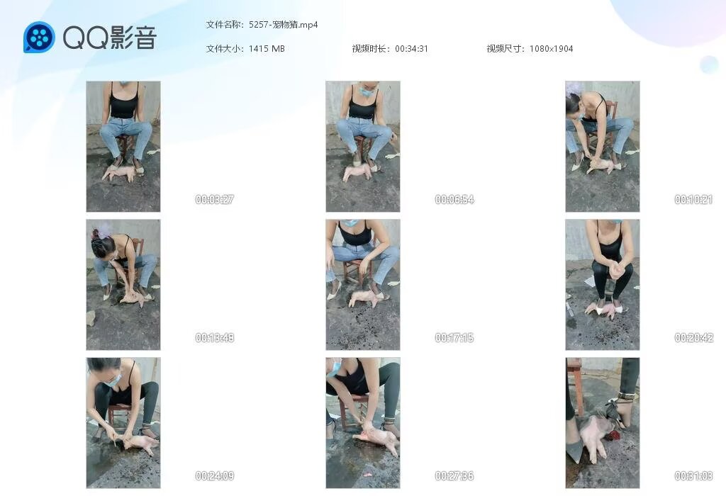 5257-宠物猪202