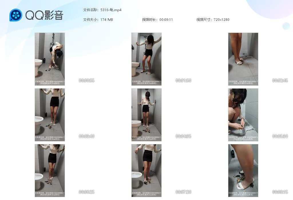 5316-龟2025120