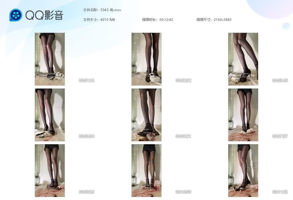5343-兔2025121