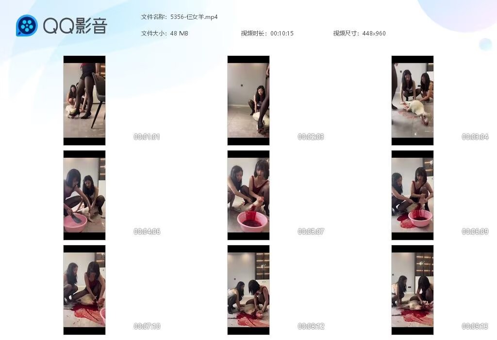 5356-仨女羊202
