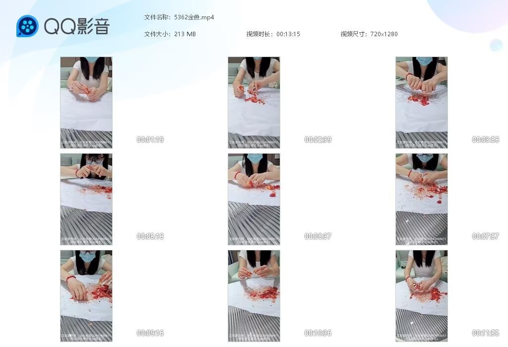 5362金鱼202512