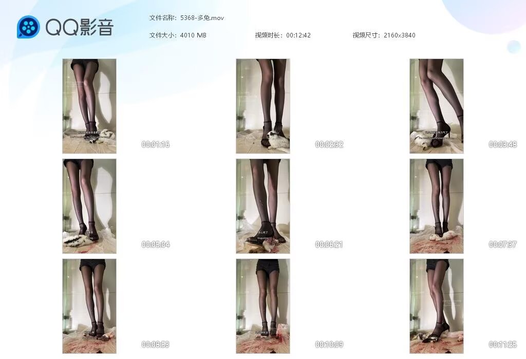 5368-多兔20251