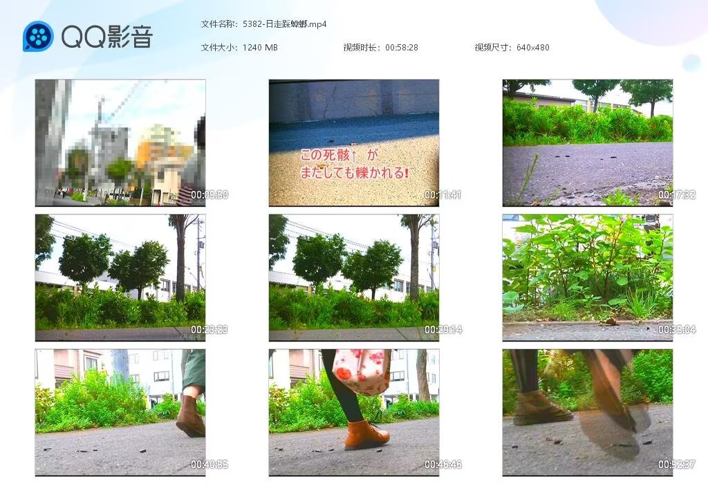 5382-日走踩蟑螂