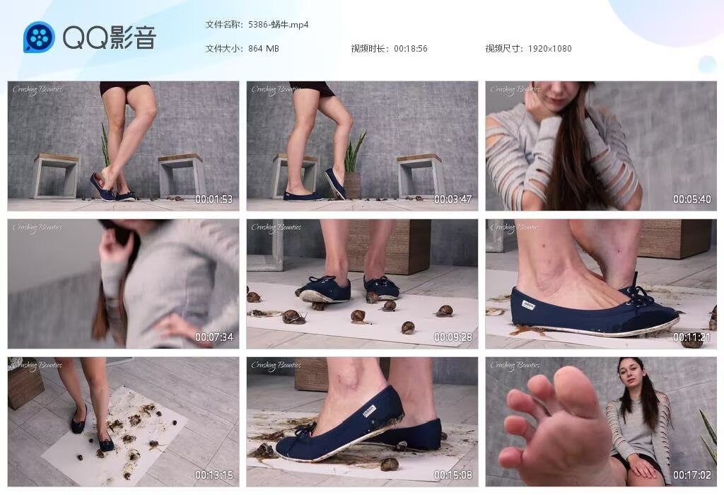 5386-蜗牛20230