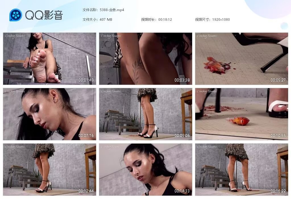 5388-金鱼20230