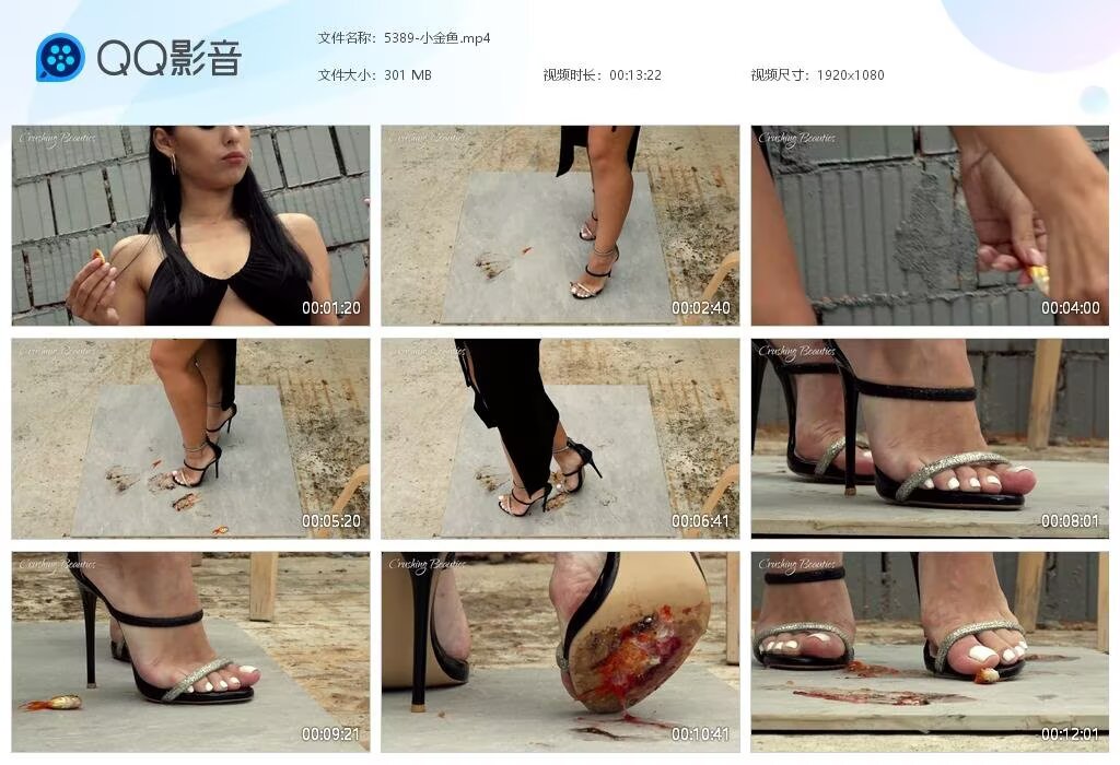 5389-小金鱼202