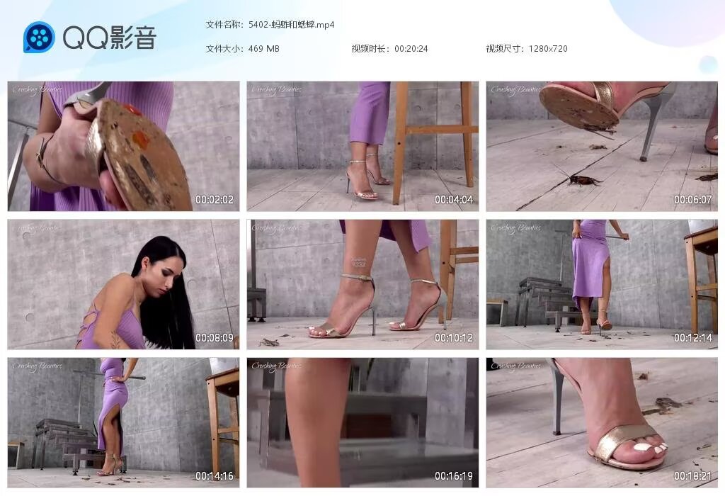 5402-蚂蚱和蟋蟀