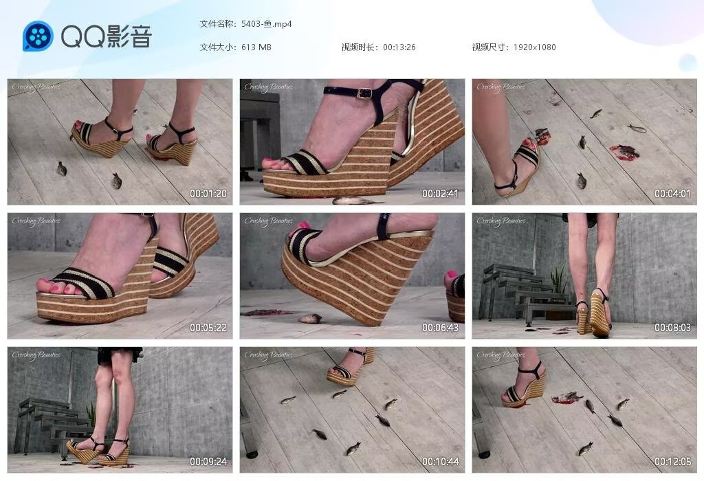 5403-鱼2023101