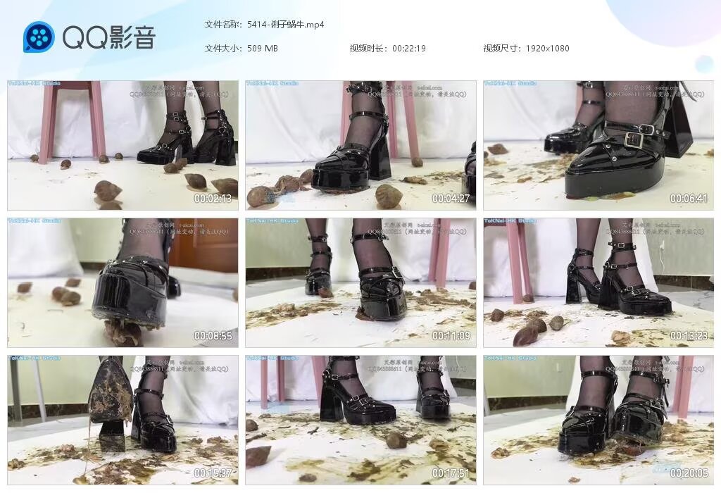 5414-俐子蜗牛2