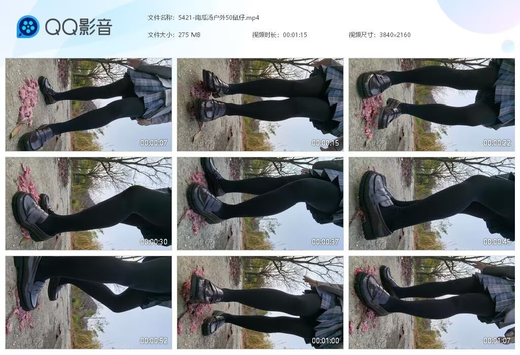 5421-南瓜汤户外