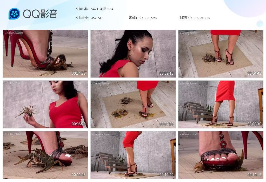 5421-龙虾20231