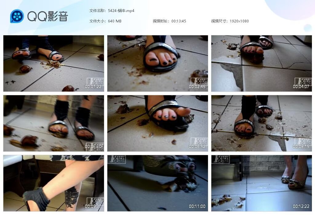 5424-蜗牛20231