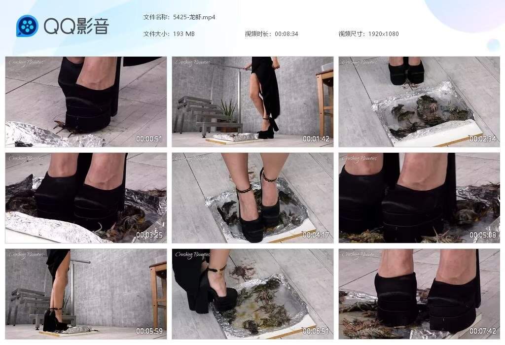 5425-龙虾20231