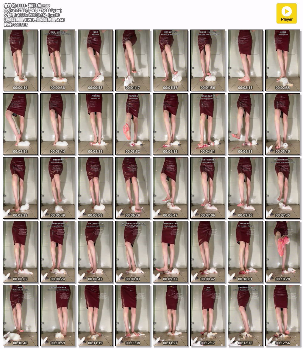 5455-海月3兔mov_N