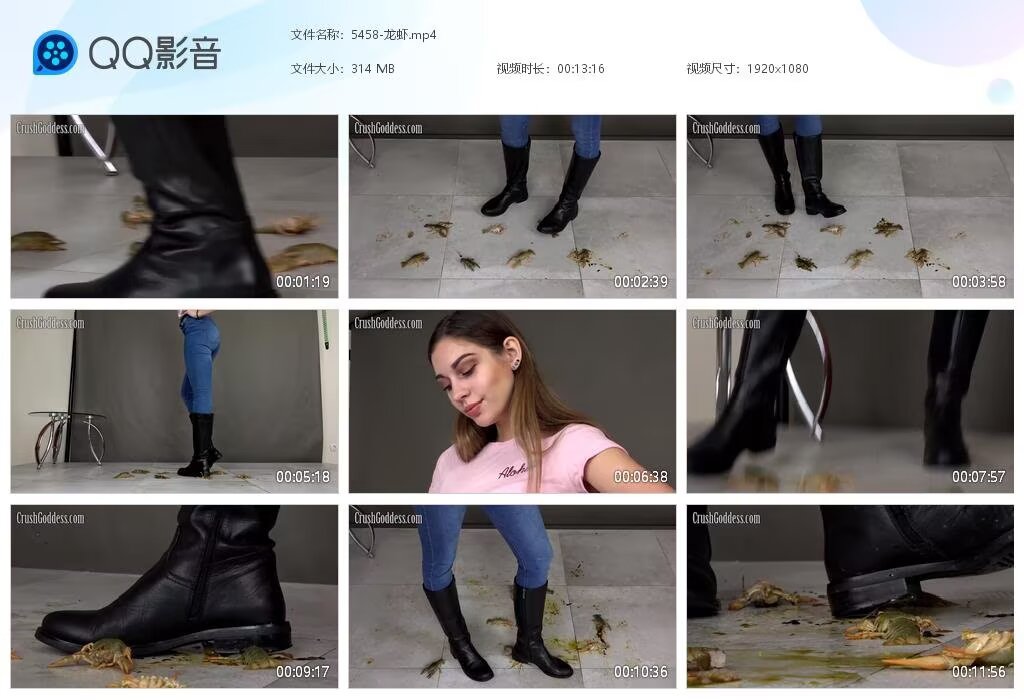5458-龙虾20240