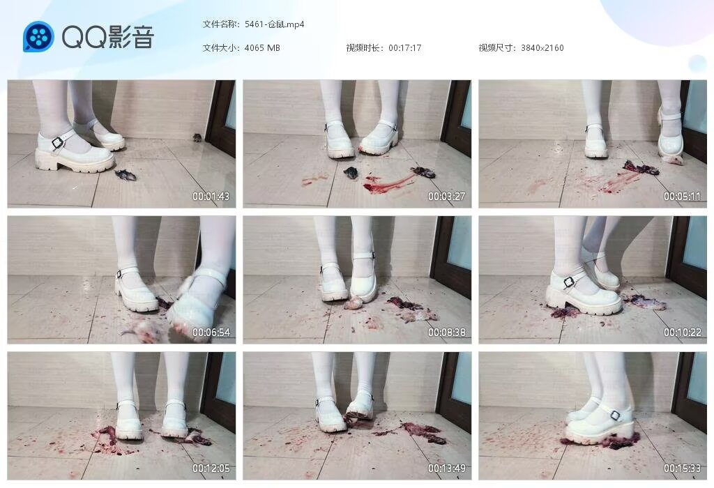 5461-仓鼠20260