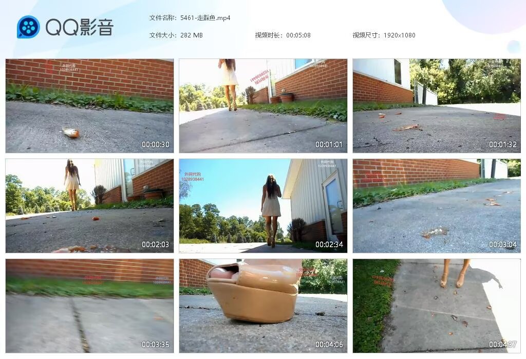 5461-走踩鱼202