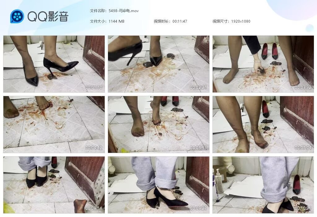 5498-司命龟202