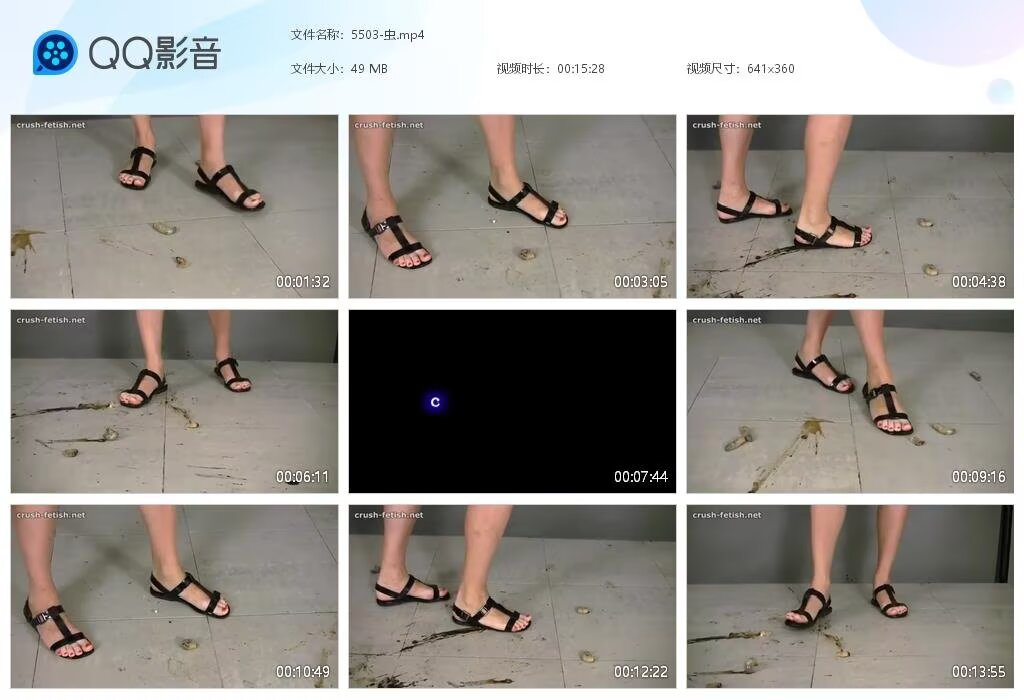 5503-虫2024051