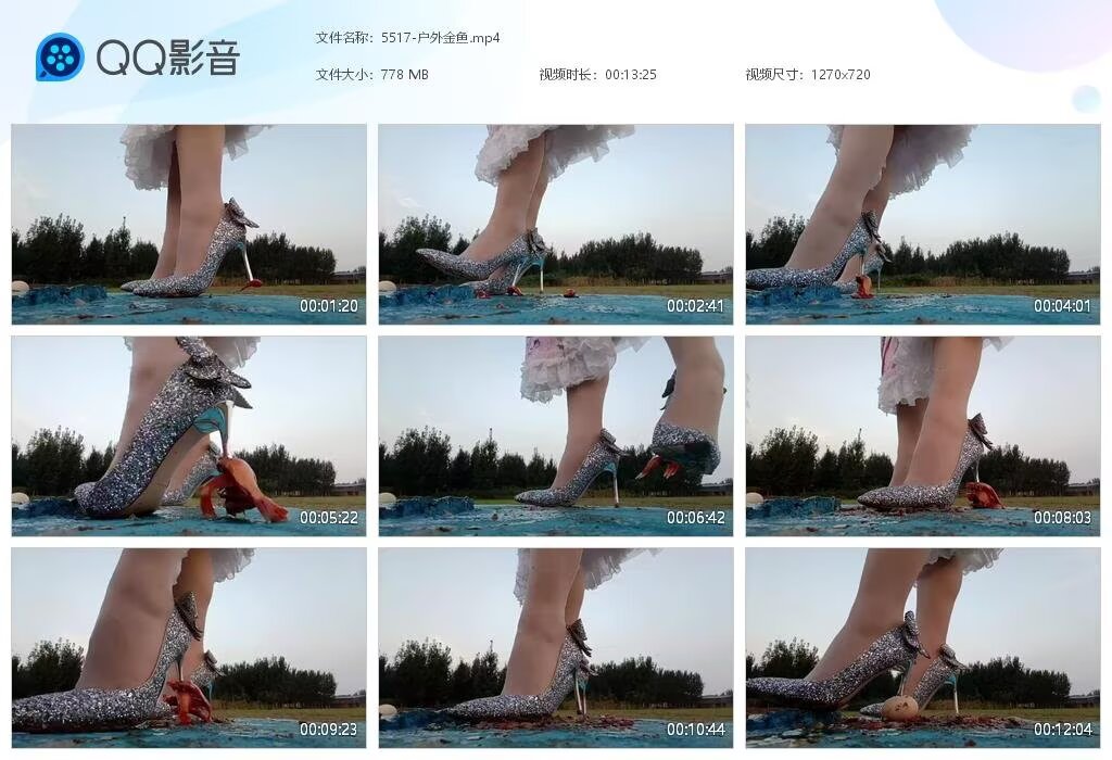 5517-户外金鱼2