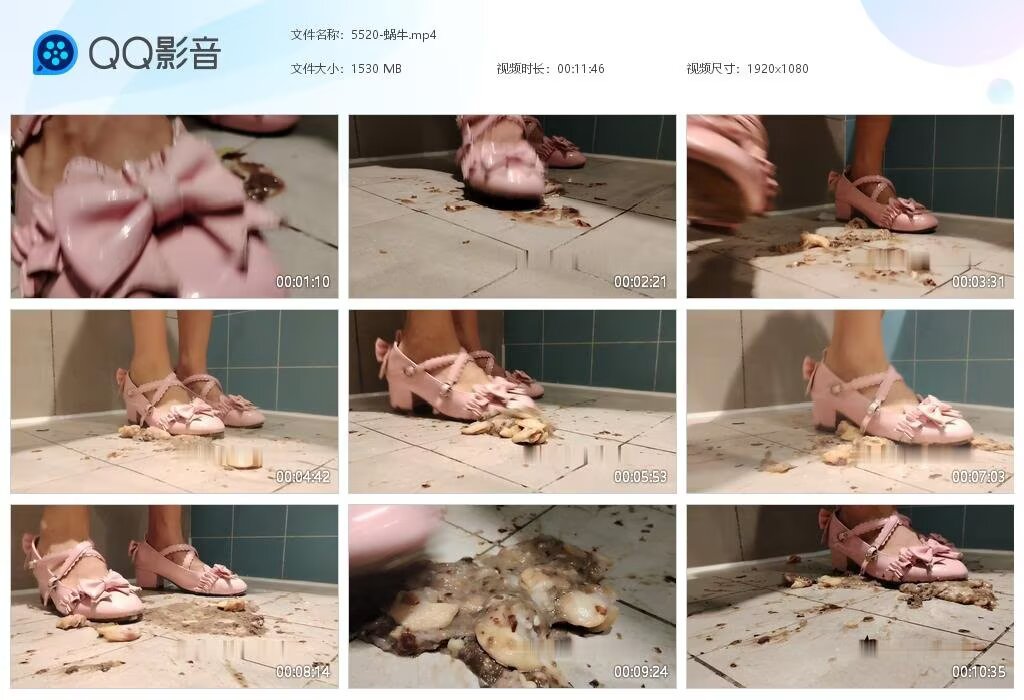 5520-蜗牛20260