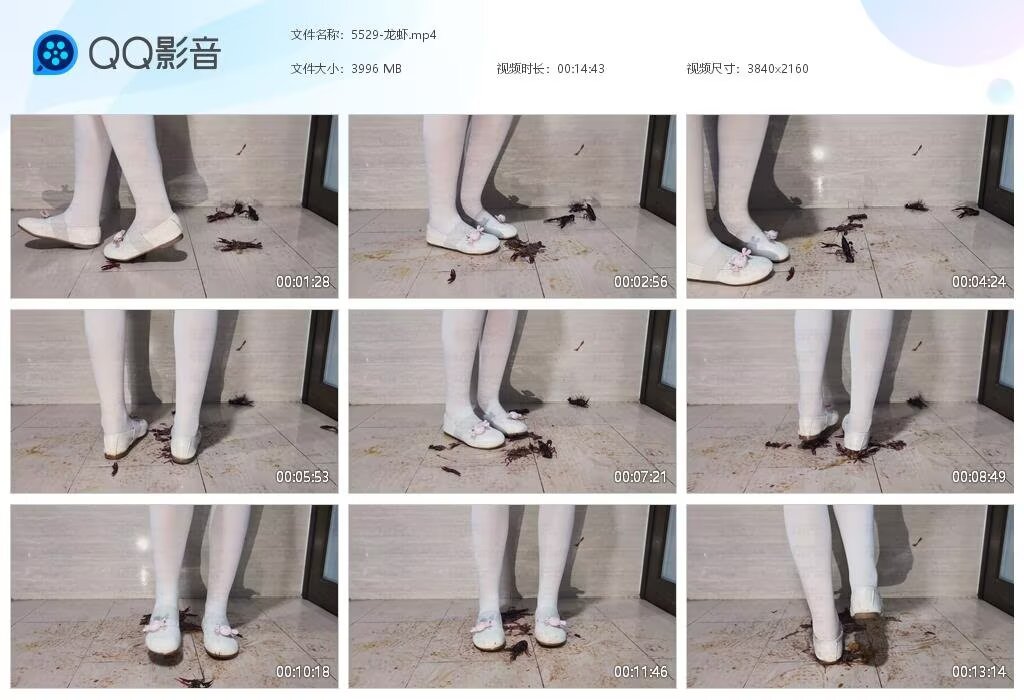 5529-龙虾20260