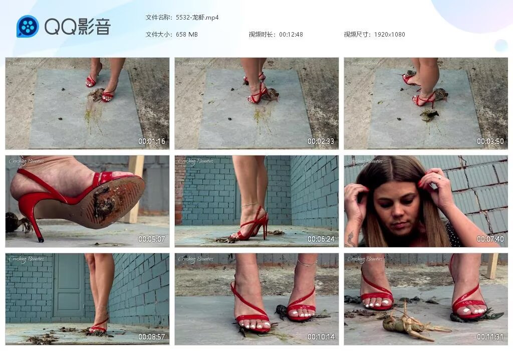 5532-龙虾20240