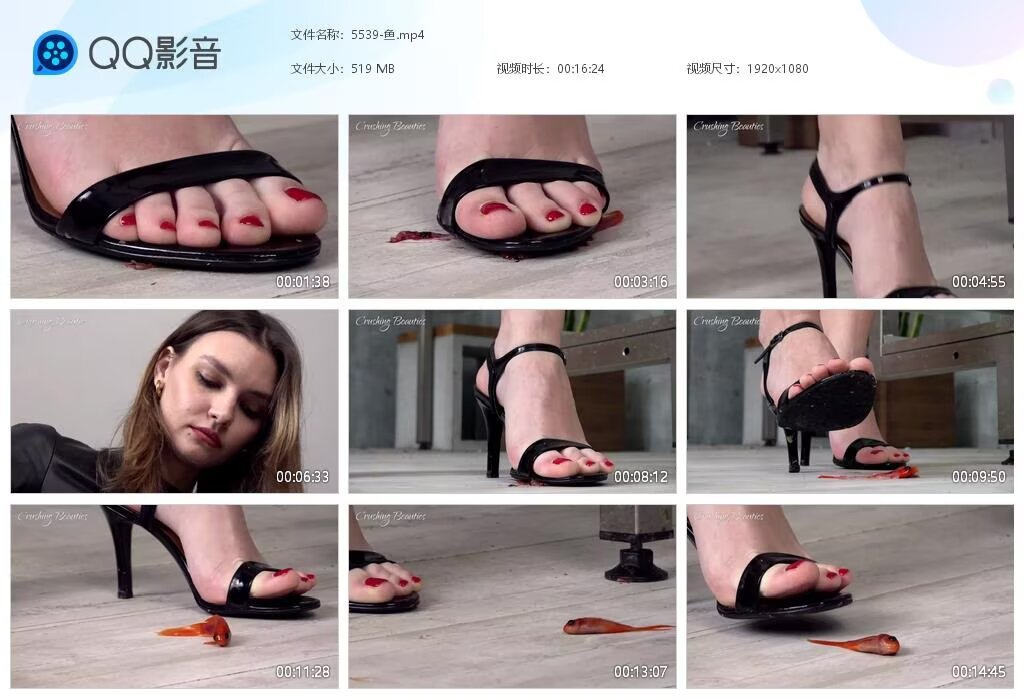5539-鱼2024080